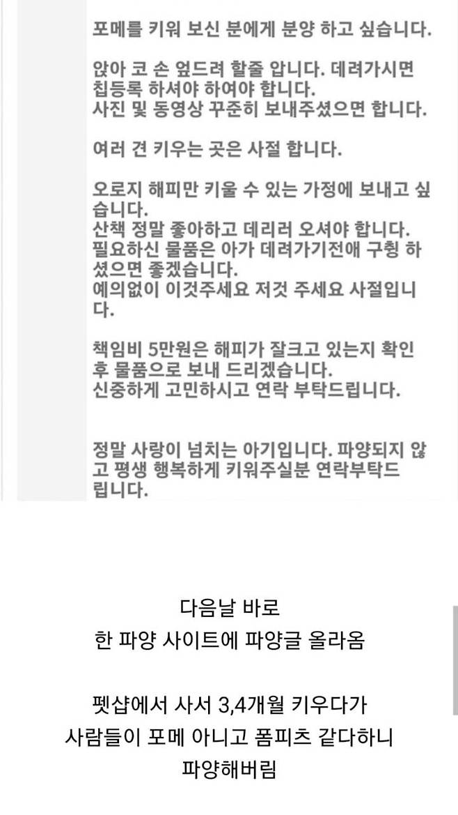 Internet_20241021_213630_2.jpeg 포메라니안 순종이냐고 묻길래 아닌 거 같다고 했더니