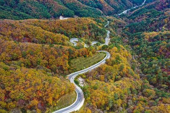 20일 강원도 평창군 용평면 운두령 일대 산자락에 단풍이 물들고 있다. 뉴스1