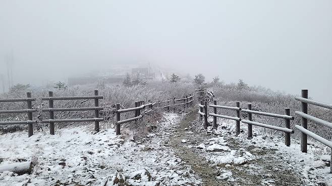 Snow covers the ground on Mount Seorak in Gangwon on Sunday morning. A branch office of the Korea National Park Service in Seorak-dong in Gangwon said the mountain received approximately one centimeter (0.39 inches) of snow between Saturday and Sunday. [SEORAKSAN NATIONAL PARK OFFICE]