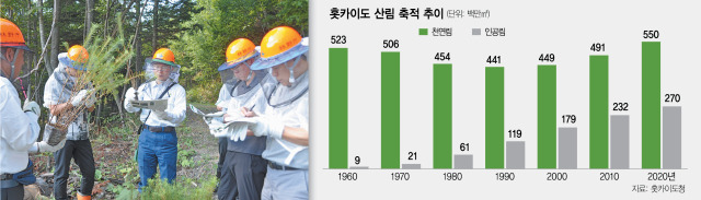 일본 임야청 홋카이도 임야관리국 가와카와 중부산림관리서 이오다타 히데이(오른쪽 세번째) 서장이 홋카이도 신카이지역에서 벌채지 현황과 벌채후 나무심기에 대해 설명하고 있다. 홋카이도=박희윤 기자