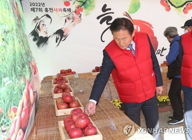 사과축제장 둘러보는 신영재 홍천군수 [홍천군 제공.재판매 및 DB 금지]