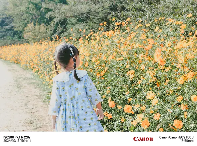 789e837ebcf01b80239b86e7349c706819171f848ddbb76f085f1e832e5838559f370df5b8ffcfd0b2d1ae2fde3859b351bc3ffda319