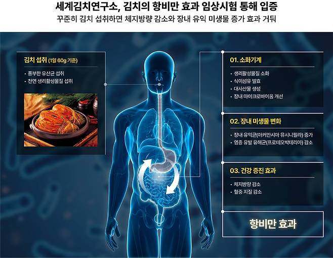 세계김치연구소가 김치의 ‘항비만 효과’를 임상시험으로 입증했다고 밝혔다. [세계김치연구소 제공]