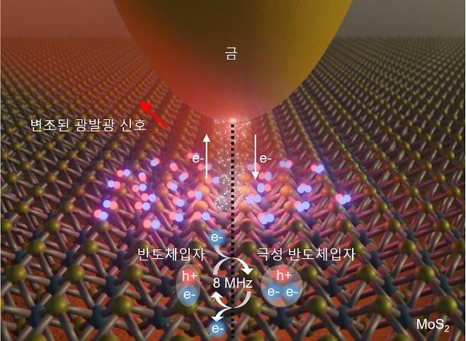 초고속 양자터널링 광공진기를 통해 2차원 반도체에 존재하는 입자들의 거동을 초고속으로 전기적 변조하며 실시간으로 관찰하는 과정을 나타낸 그림. 포스텍 제공