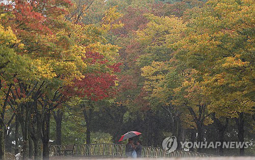 가을 깊어지게 만드는 비. 연합뉴스