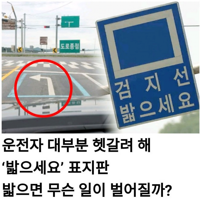 image-6.png 한국에서 정말 보기 힘든 도로 표지판.jpg