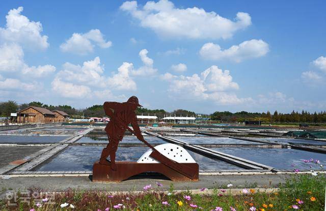 시흥 갯골생태공원의 염전. 옛 소래염전을 복원해 체험장으로 이용하고, 실제 소금을 생산하기도 한다.