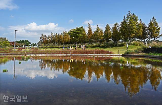 갯골생태공원 염전에 주변 풍광이 비치고 있다.