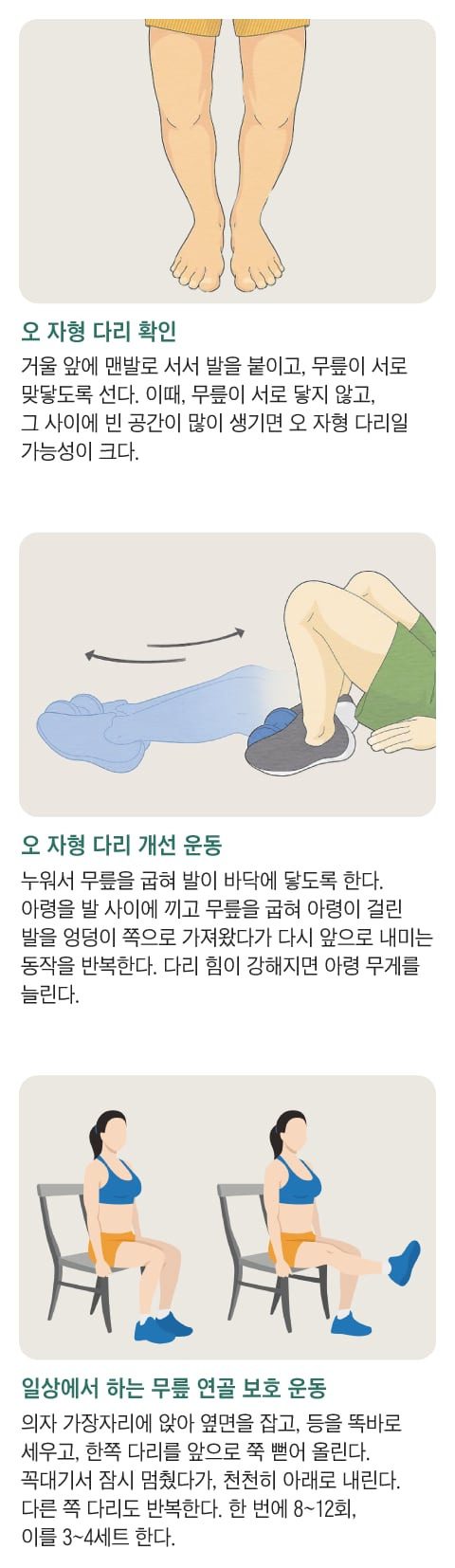 그래픽=조선디자인랩 권혜인