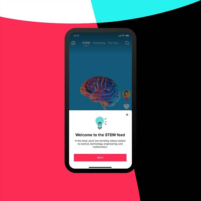 지난해 3월 미국 청소년들을 대상으로 적용되기 시작한 틱톡의 STEM 피드./틱톡 제공