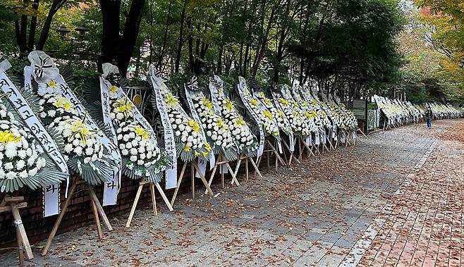 경기 성남시의회 의원 딸이 연루된 분당 학교폭력 사건과 관련, 해당 초등학교 앞에 근조화환 120여개가 설치된 모습./사진 출처=온라인 카페