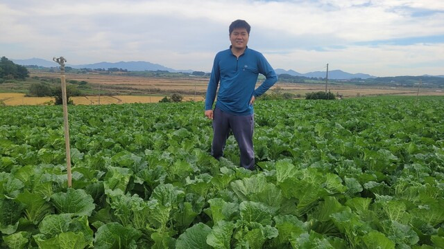 25일 오후 전남 해남군 산이면 초송리 밭에서 정영선씨가 잘 자라고 있는 배추밭을 보며 미소를 짓고 있다. 정영선씨 제공