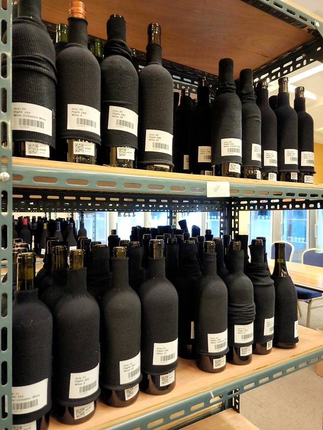 블라인드 심사 와인들. 최현태 기자