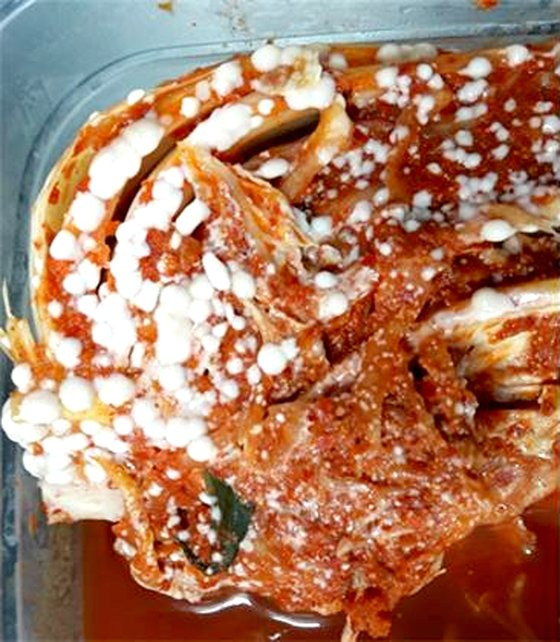 김치 표면 ‘골마지’. 사진 식품안전정보원