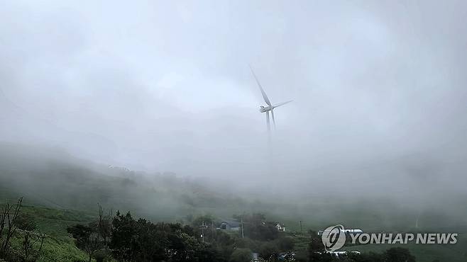 짙은 안개가 낀 안반데기 [연합뉴스 자료사진]