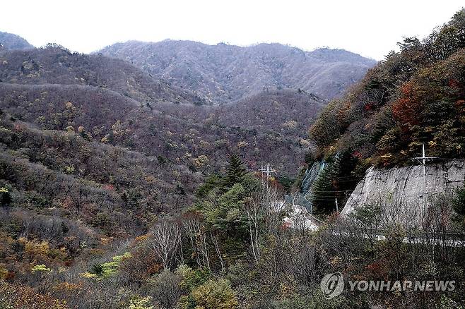 절정으로 치닫는 설악산 단풍 [연합뉴스 자료사진]