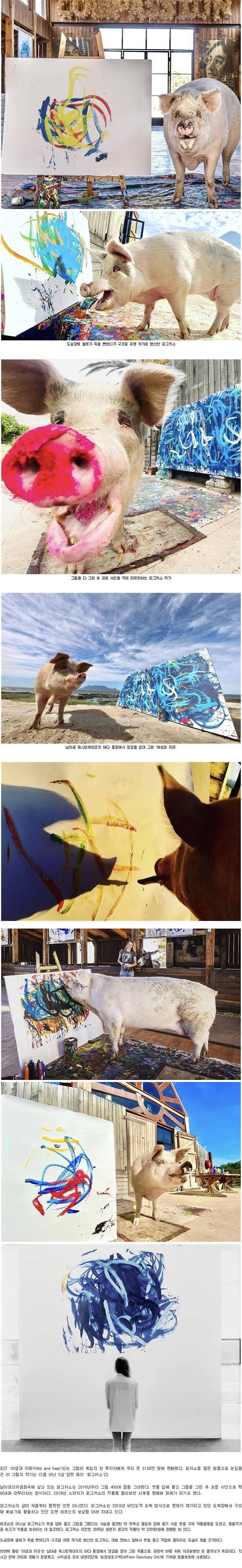 3,100만원에 팔린 돼지 그림