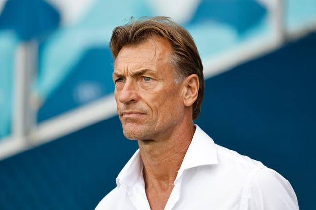 에르베 르나르 감독. AP 연합뉴스