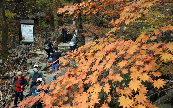 Hikers visit Mount Bukhan in Gangbuk District, northern Seoul, on Sunday, revel in the autumn season as they as they hike the Baegundae trail surrounded by brilliant fall colors. [NEWS1]