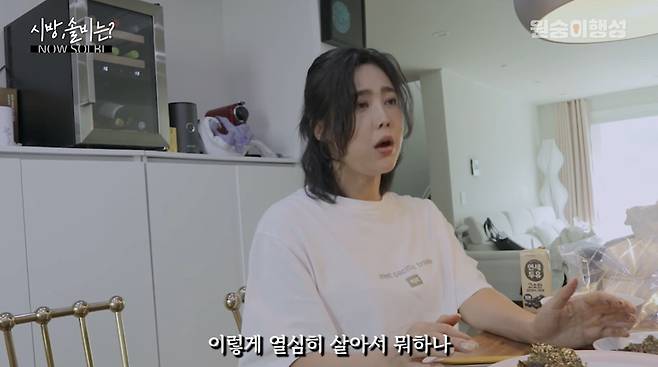 시방솔비 캡처