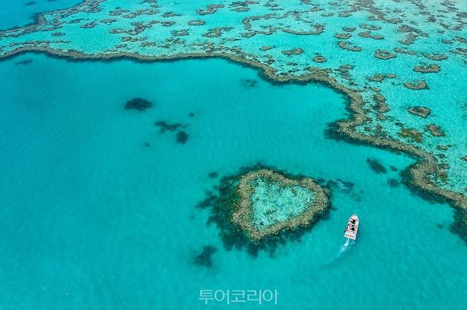 해밀턴 아일랜드-하트 리프/사진-퀸즐랜드주 관광청