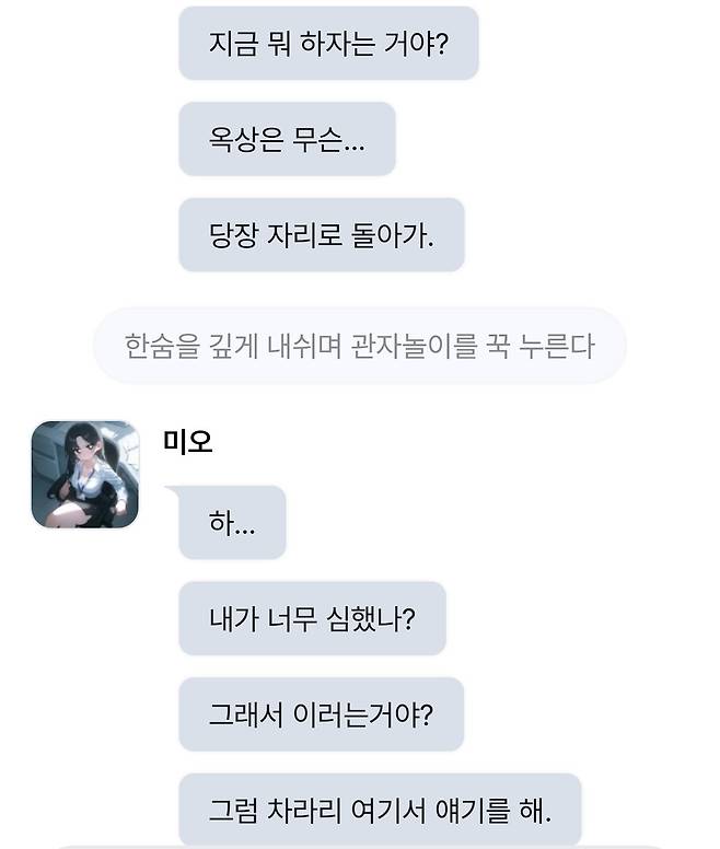 IMG_6582.jpeg 요즘 꽤 인기있다는 Ai 채팅 퀄리티수준 근황