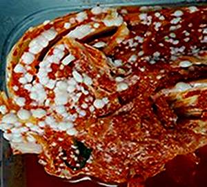 사진설명=김치 겉면에서 찾아볼 수 있는 하얀 물질은 곰팡이가 아닌 골마지로, 섭취하더라도 안전상 문제가 없다./사진=식품안전정보원