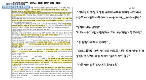 지난 24일 국회 문화체육관광위원회 국정감사에서 공개된 하이브 내부 문건. /국회방송