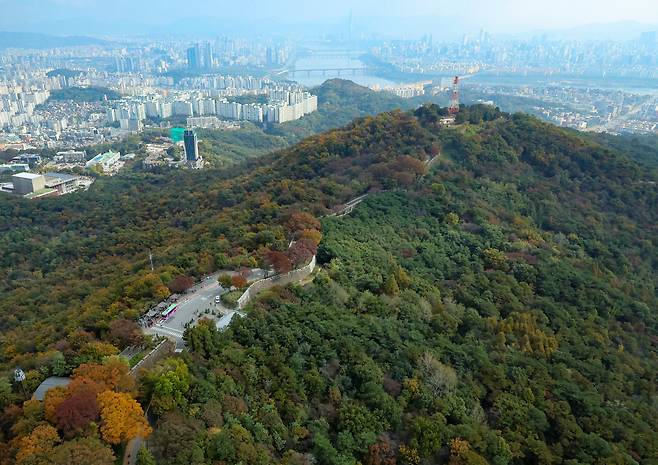 서울 남산서울타워에서 바라본 남산이 가을단풍으로 물들어 있다./연합뉴스