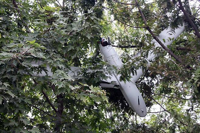 A drone that North Korea claims was sent by the South Korean military is seen crashed in a tree in this photo carried by North Korea's official Korean Central News Agency on Oct. 19. The drone is being described by Pyongyang as the same type that was publicly displayed on Armed Forces Day in Seoul earlier this month. [NEWS1]