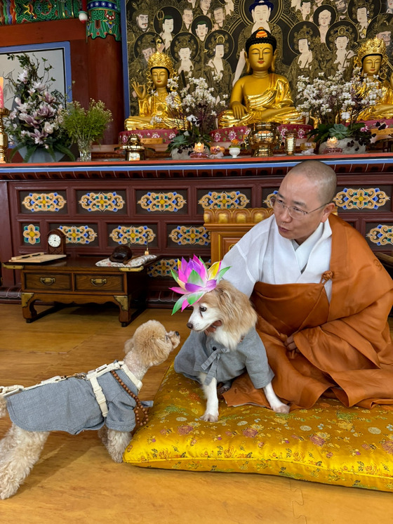 Bori, center, with Ven. Jeong-gak, head monk of Mireuksa on the monk’s seating cushion [YIM SEUNG-HYE]