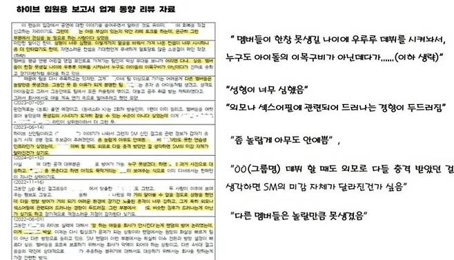 더불어민주당 민형배 의원이 지난 24일 국회 문화체육관광위원회 국정감사에서 공개한 하이브 내부 문서 일부 내용. / 사진 = 국회방송 캡처