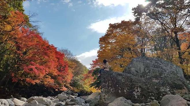 [제주=뉴시스] 제주지역 단풍 명소 가운데 하나인 천아계곡 주변의 교통혼잡을 해소하기 위해 임시 주차장이 운영된다. (사진=제주도 제공) 2024.10.29. photo@newsis.com *재판매 및 DB 금지