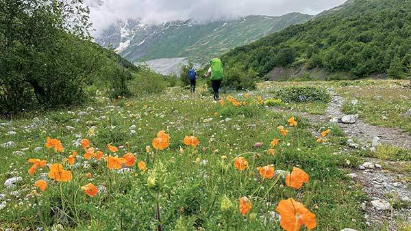 스바네티트레일 3일차에 아디시빙하를 바라보며 오렌지빛 양귀비가 지천인 평원을 걷는다.