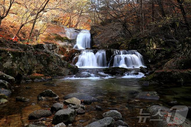 지난 29일 오후 강원 인제군 기린면 방태산 이단폭포 일대가 울긋불긋한 단풍으로 물들면서 아름다운 가을 풍경을 연출하고 있다.(인제군 제공)2024.10.30/뉴스1 ⓒ News1 윤왕근 기자