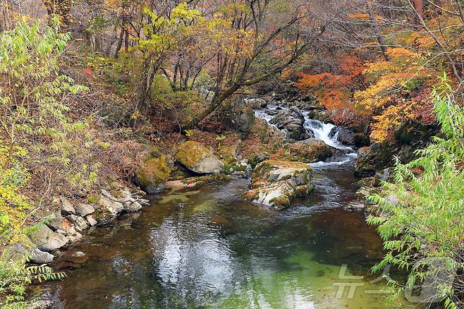 지난 29일 오후 강원 인제군 기린면 방태산 이단폭포 일대가 울긋불긋한 단풍으로 물들면서 아름다운 가을 풍경을 연출하고 있다.(인제군 제공)2024.10.30/뉴스1 ⓒ News1 윤왕근 기자
