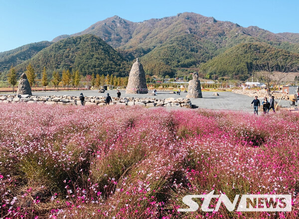 포천 세계지질공원내 조성된 '한탄강 가든페스타 축제장' 일부 전경/ 사진┃STN뉴스 DB.