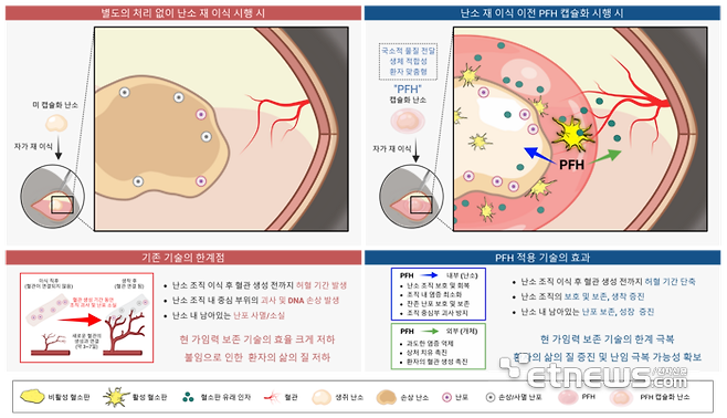 난소 조직을 이용한 현 가임력 보존 기술의 한계점과 연구진의 기술 개발에 대한 모식도