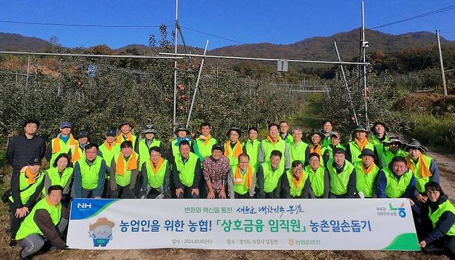 30일 경기 포천시 사과 농가에서 여영현 상호금융대표이사(앞줄 왼쪽 여덟 번째)와 임직원들이 농촌일손돕기를 실시 후 기념 촬영하고 있다. 농협 제공