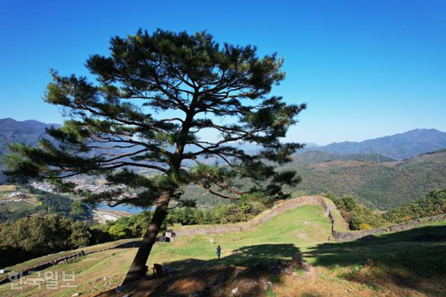 온달산성 한가운데에 소나무 한 그루가 자라고 있다. 성안이 내려다보이는 풍경도 넉넉하고 평화롭다.