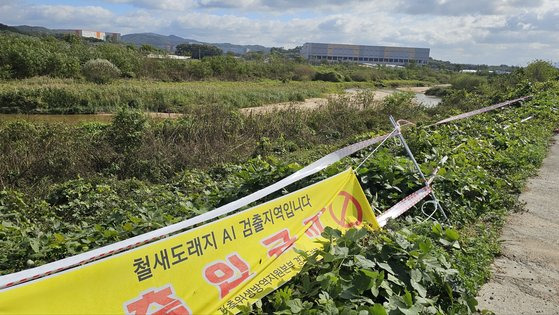 22일 경기도 용인시 처인구 백암면. 청미천 일부 구간이 고병원성 AI 검출로 통제되고 있다. 용인=정은혜 기자