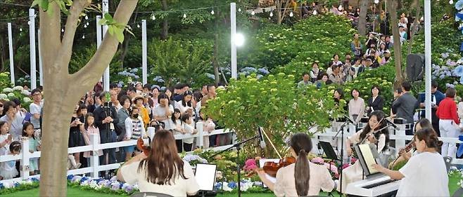 울산 남구 장생포 고래문화특구 내 수국정원에서 열린 수국축제에 40만 명 이상의 관광객이 몰리면서 새로운 핫플레이스로 주목받고 있다. /울산 남구 제공