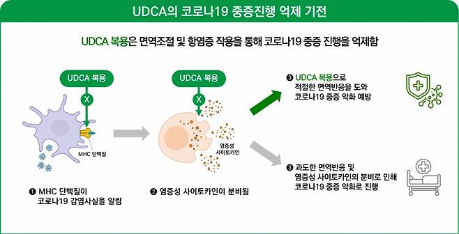 사진= 백양현 교수 연구팀