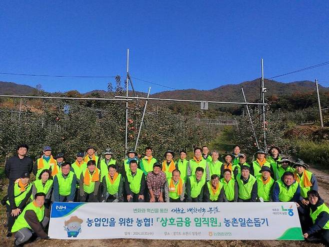 여영현 상호금융대표이사(앞줄 왼쪽 여덟번째)와 임직원들이 30일 경기 포천시 일동면 소재 사과 농가를 방문해 농촌일손돕기를 실시하며 기념촬영했다. 농협중앙회 제공