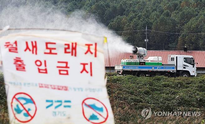 조류인플루엔자 방역 [연합뉴스 자료 사진]