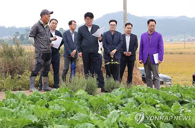 권재한 청장, 가을배추 생육 상황 점검 [농촌진흥청 제공. 재판매 및 DB 금지]