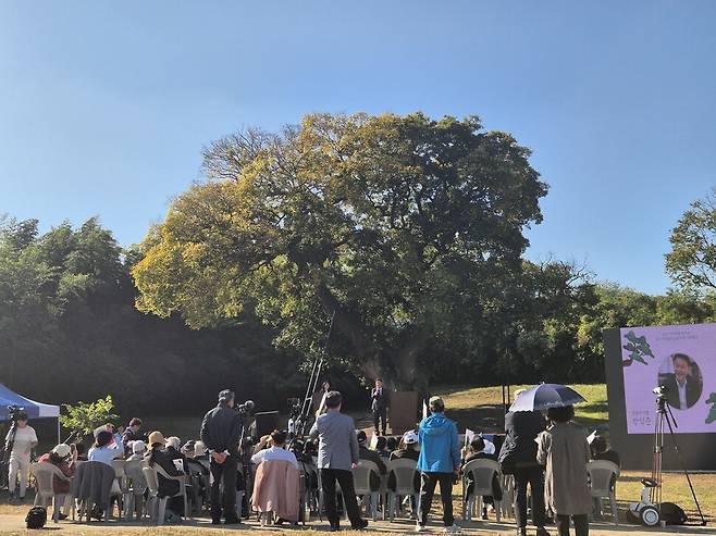 국가유산청은 10월31일 군산 하제마을 팽나무를 국가자연유산으로 지정하고 기념행사를 개최했다. 천경석 기자