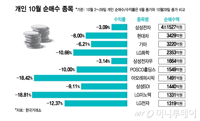 개인 10월 순매수 종목/그래픽=김지영 기자