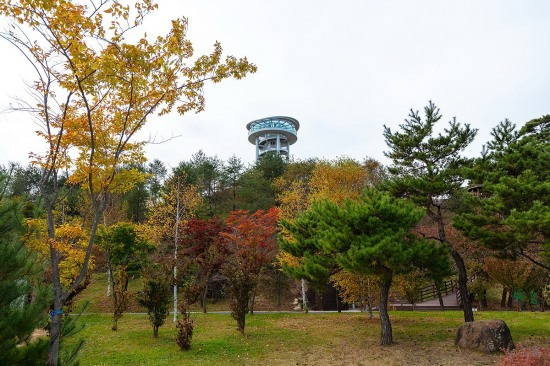 하늘자락공원(예천군 제공)