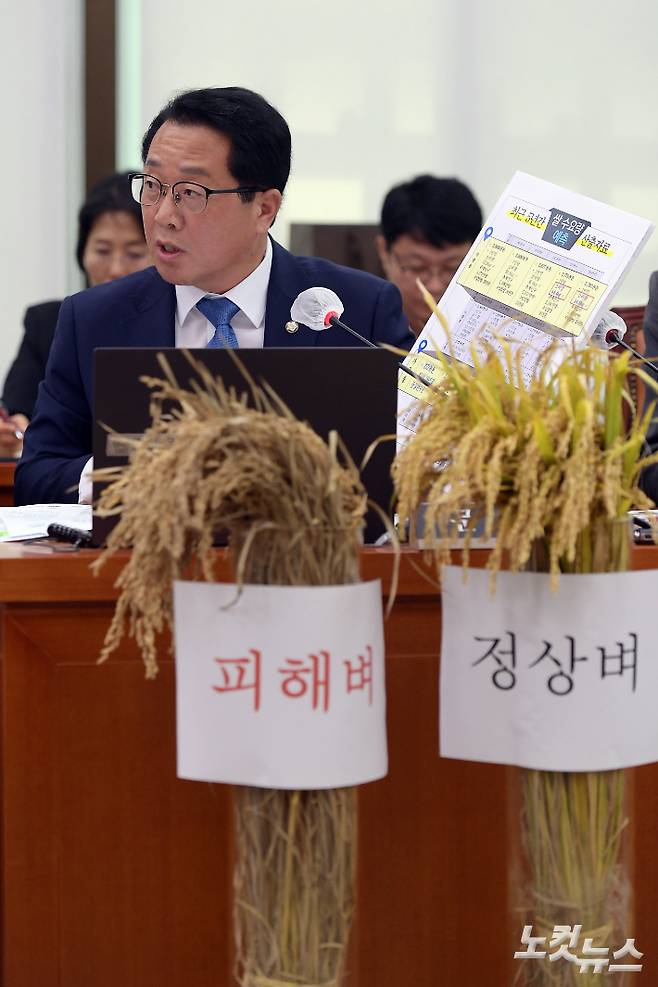 더불어민주당 문금주 의원이 7일 서울 여의도 국회에서 열린 농림축산식품해양수산위원회의 농림축산식품부에 대한 국정감사에서 벼멸구 피해와 관련 피해벼와 정상벼를 국감장에서 보이며 질의를 하고 있다. 윤창원 기자